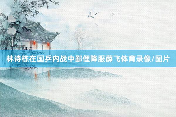 林诗栋在国乒内战中鄙俚降服薛飞体育录像/图片