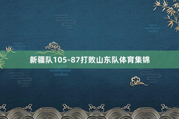 新疆队105-87打败山东队体育集锦