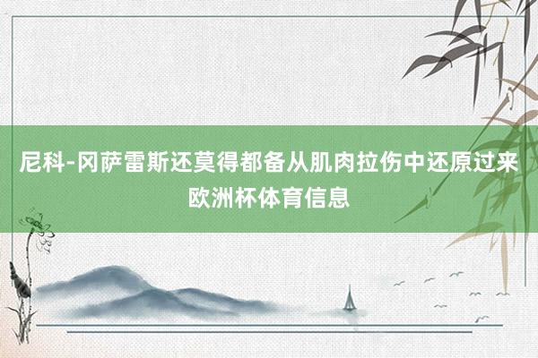 尼科-冈萨雷斯还莫得都备从肌肉拉伤中还原过来欧洲杯体育信息