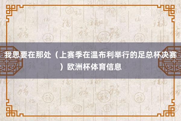 我思要在那处（上赛季在温布利举行的足总杯决赛）欧洲杯体育信息