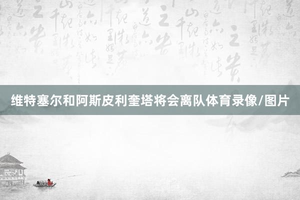 维特塞尔和阿斯皮利奎塔将会离队体育录像/图片
