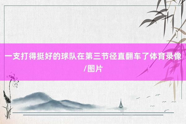 一支打得挺好的球队在第三节径直翻车了体育录像/图片