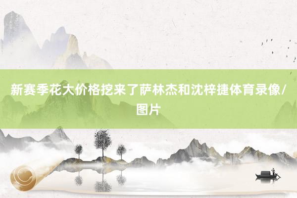 新赛季花大价格挖来了萨林杰和沈梓捷体育录像/图片