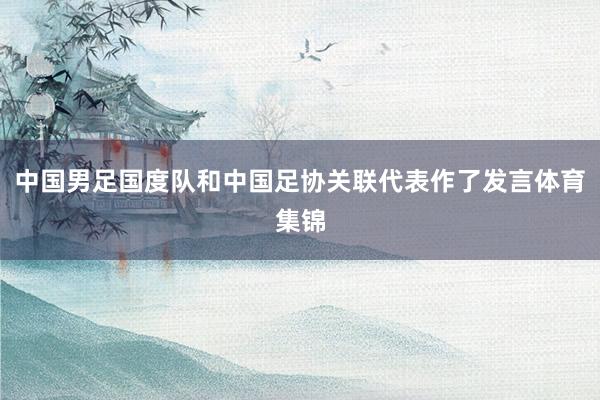 中国男足国度队和中国足协关联代表作了发言体育集锦