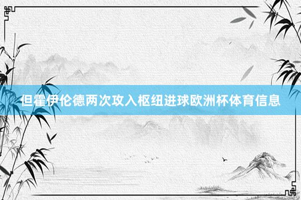 但霍伊伦德两次攻入枢纽进球欧洲杯体育信息