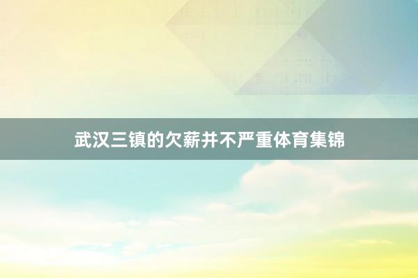 武汉三镇的欠薪并不严重体育集锦