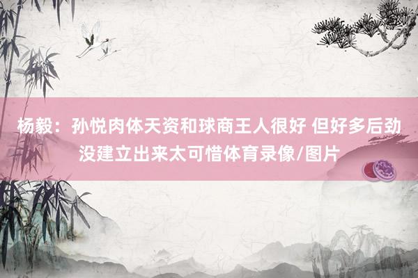 杨毅：孙悦肉体天资和球商王人很好 但好多后劲没建立出来太可惜体育录像/图片