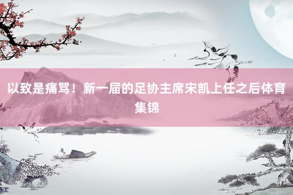 以致是痛骂！新一届的足协主席宋凯上任之后体育集锦