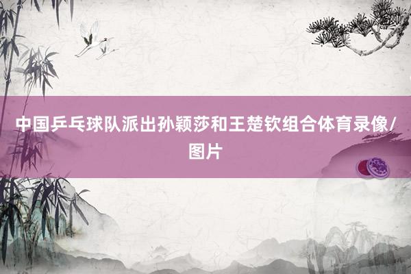 中国乒乓球队派出孙颖莎和王楚钦组合体育录像/图片
