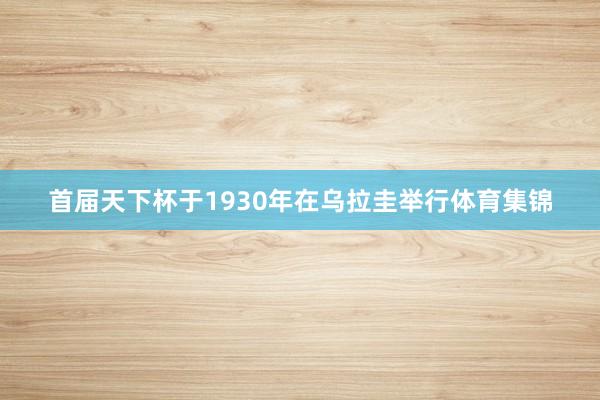 首届天下杯于1930年在乌拉圭举行体育集锦