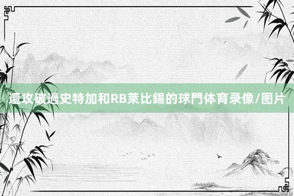 還攻破過史特加和RB萊比錫的球門体育录像/图片
