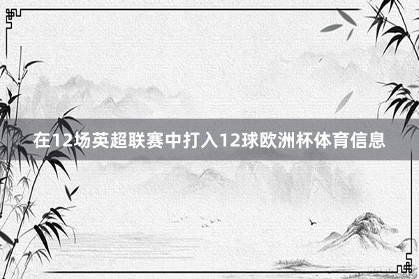 在12场英超联赛中打入12球欧洲杯体育信息