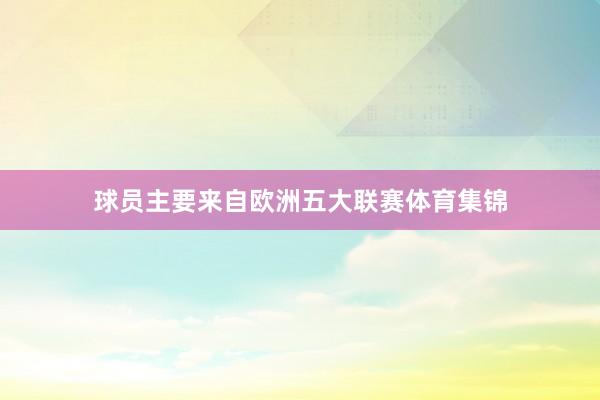 球员主要来自欧洲五大联赛体育集锦