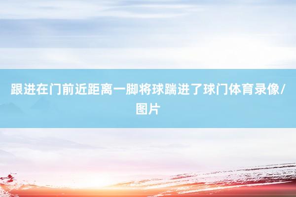 跟进在门前近距离一脚将球踹进了球门体育录像/图片
