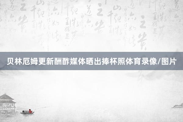 贝林厄姆更新酬酢媒体晒出捧杯照体育录像/图片