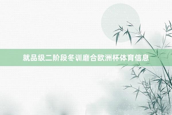 就品级二阶段冬训磨合欧洲杯体育信息