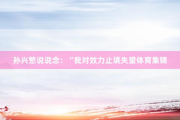 孙兴慜说说念：“我对效力止境失望体育集锦