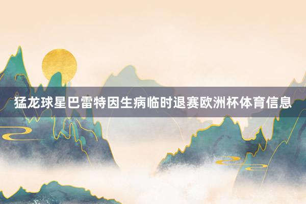 猛龙球星巴雷特因生病临时退赛欧洲杯体育信息