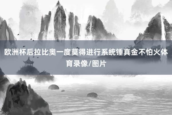 欧洲杯后拉比奥一度莫得进行系统锤真金不怕火体育录像/图片