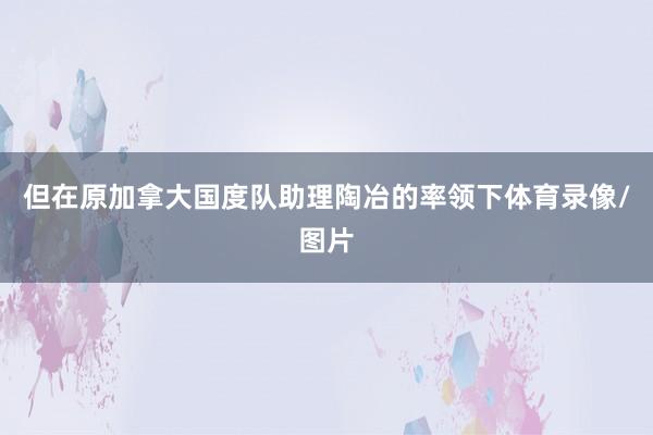 但在原加拿大国度队助理陶冶的率领下体育录像/图片