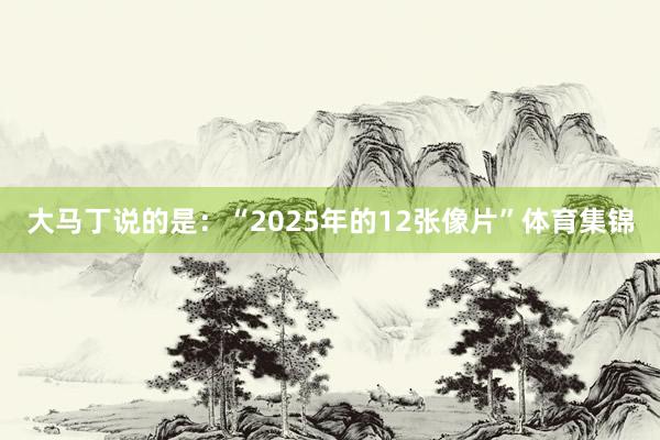 大马丁说的是：“2025年的12张像片”体育集锦
