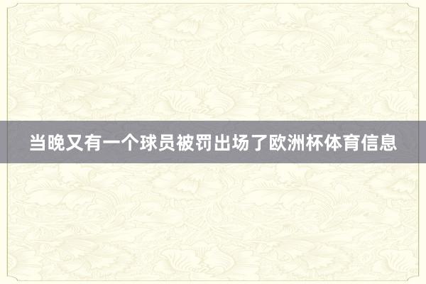 当晚又有一个球员被罚出场了欧洲杯体育信息