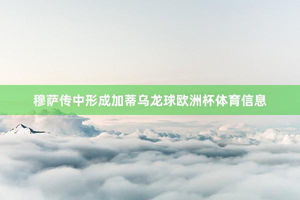 穆萨传中形成加蒂乌龙球欧洲杯体育信息
