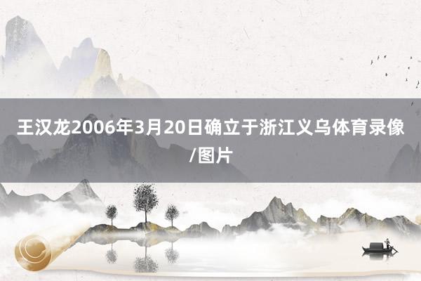 王汉龙2006年3月20日确立于浙江义乌体育录像/图片