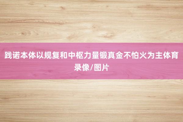 践诺本体以规复和中枢力量锻真金不怕火为主体育录像/图片