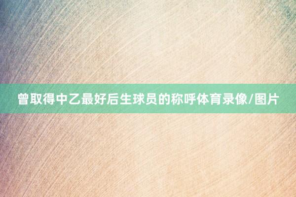 曾取得中乙最好后生球员的称呼体育录像/图片