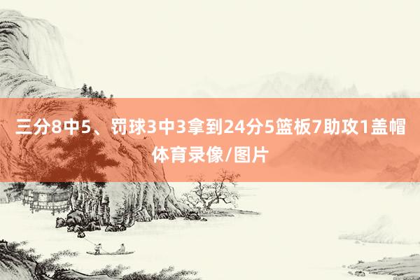 三分8中5、罚球3中3拿到24分5篮板7助攻1盖帽体育录像/图片