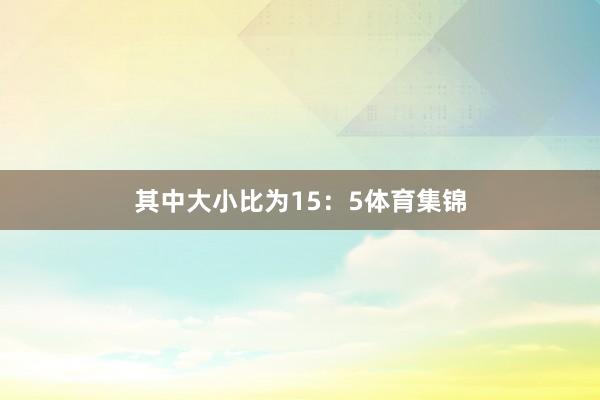其中大小比为15：5体育集锦