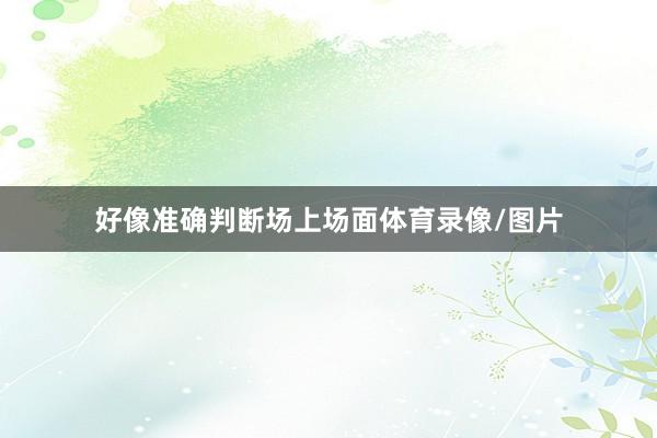 好像准确判断场上场面体育录像/图片
