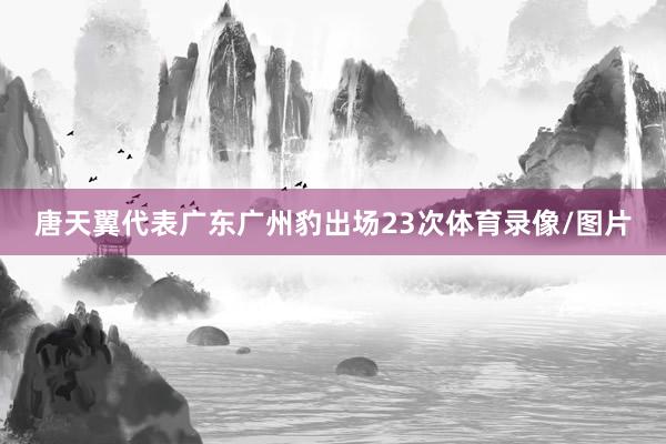 唐天翼代表广东广州豹出场23次体育录像/图片