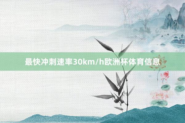 最快冲刺速率30km/h欧洲杯体育信息