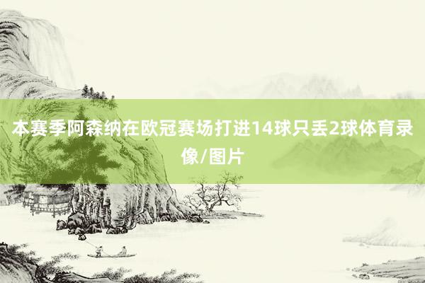 本赛季阿森纳在欧冠赛场打进14球只丢2球体育录像/图片