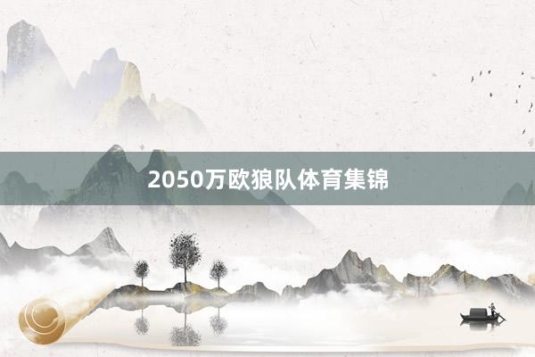 2050万欧　　狼队体育集锦