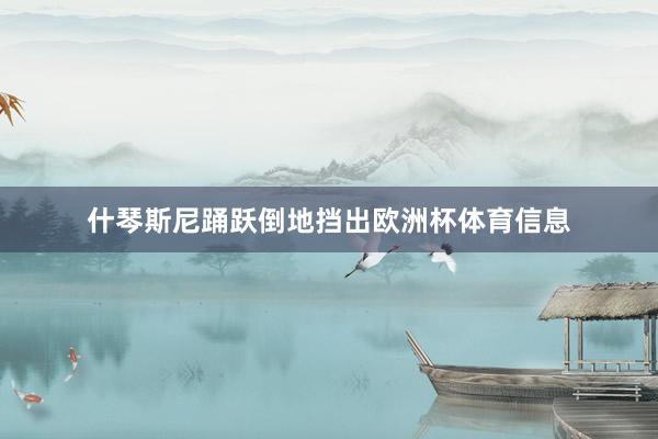 什琴斯尼踊跃倒地挡出欧洲杯体育信息