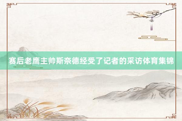 赛后老鹰主帅斯奈德经受了记者的采访体育集锦