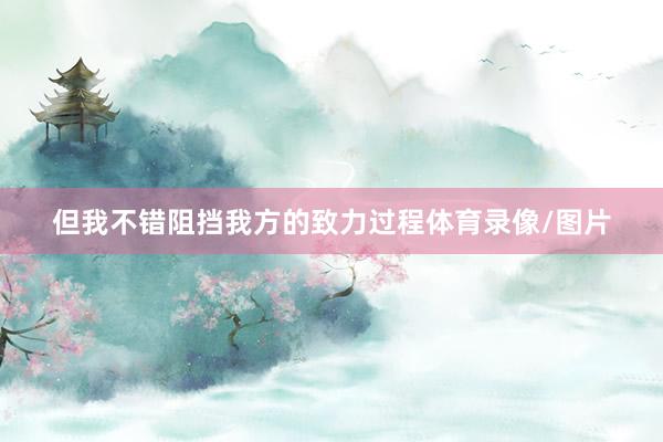 但我不错阻挡我方的致力过程体育录像/图片