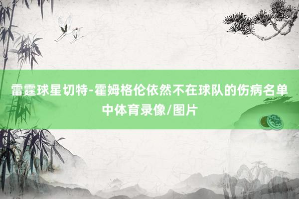 雷霆球星切特-霍姆格伦依然不在球队的伤病名单中体育录像/图片