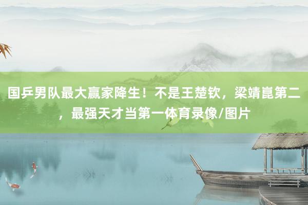 国乒男队最大赢家降生！不是王楚钦，梁靖崑第二，最强天才当第一体育录像/图片