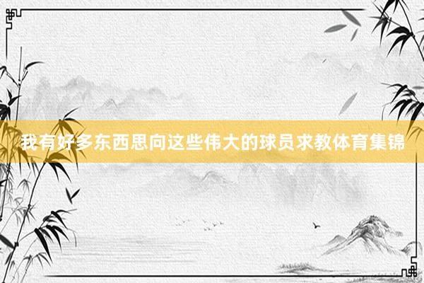 我有好多东西思向这些伟大的球员求教体育集锦