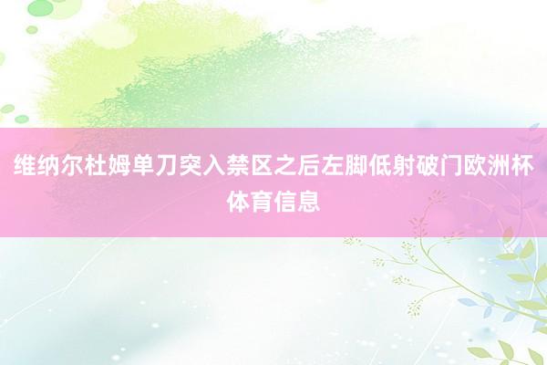 维纳尔杜姆单刀突入禁区之后左脚低射破门欧洲杯体育信息