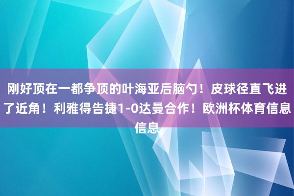 刚好顶在一都争顶的叶海亚后脑勺！皮球径直飞进了近角！利雅得告捷1-0达曼合作！欧洲杯体育信息