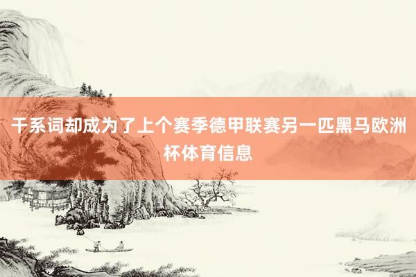 干系词却成为了上个赛季德甲联赛另一匹黑马欧洲杯体育信息