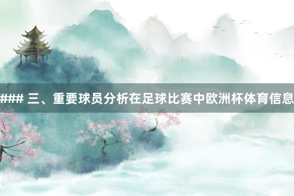 ### 三、重要球员分析在足球比赛中欧洲杯体育信息