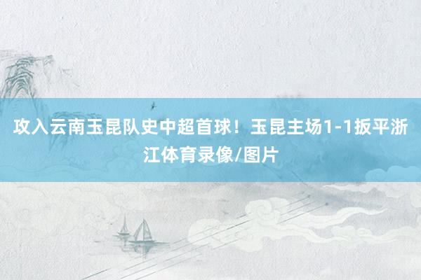 攻入云南玉昆队史中超首球！玉昆主场1-1扳平浙江体育录像/图片