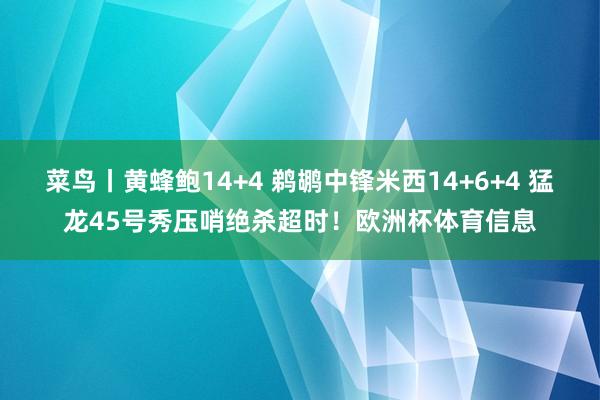 菜鸟丨黄蜂鲍14+4 鹈鹕中锋米西14+6+4 猛龙45号秀压哨绝杀超时！欧洲杯体育信息