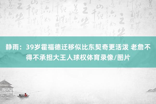 静雨：39岁霍福德迁移似比东契奇更活泼 老詹不得不承担大王人球权体育录像/图片